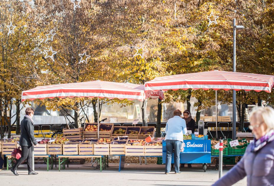 _T1A7509.jpg _T1A7509.jpg