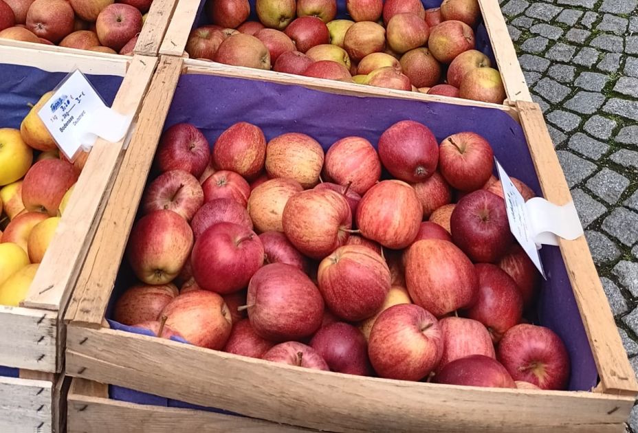 Äpfel Aepfel_quer.jpg