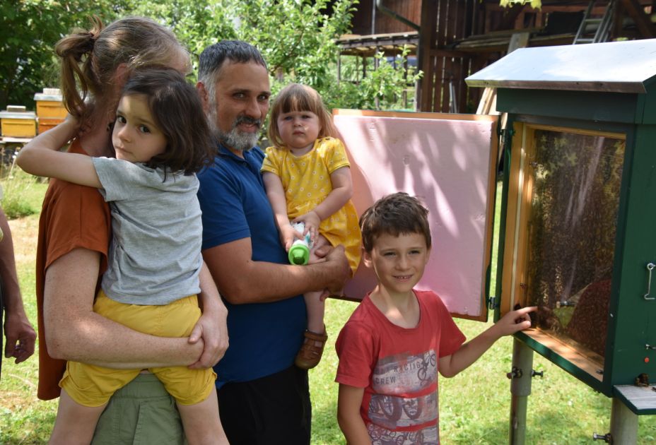 Am Bienenschaukasten