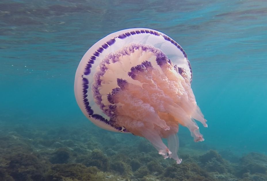 FILM_Elements-off-Balance_Still-07_©Othmar-Schmiderer.jpg FILM_Elements-off-Balance_Still-07_©Othmar-Schmiderer.jpg