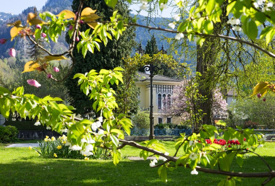 Innenstadt Hohenems Frühling Innenstadt Hohenems Frühling