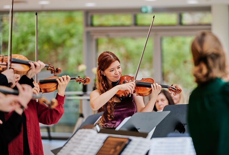 Violine violine_rt_@victor_marin.jpg