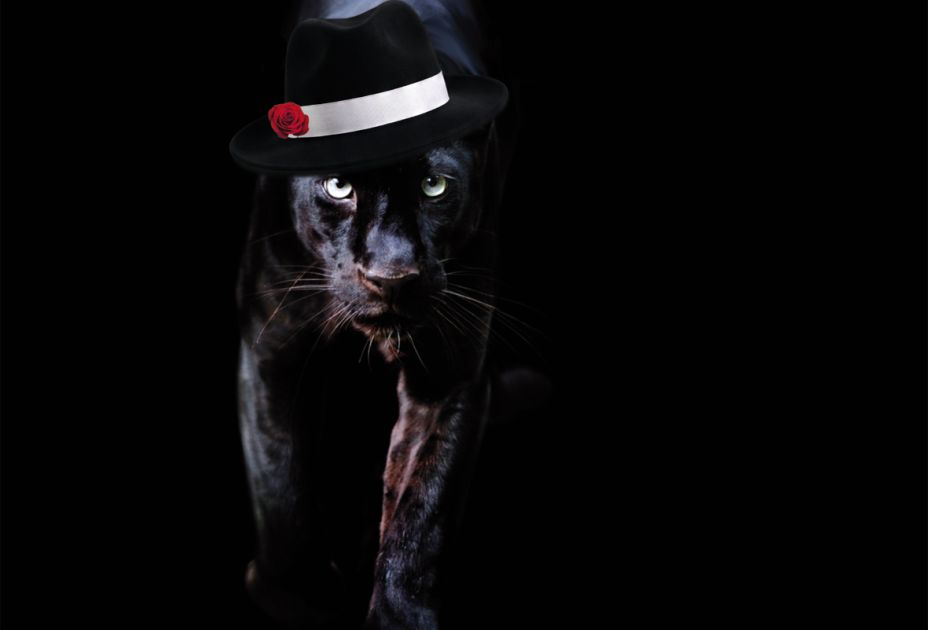 Theater-Rampenlicht_Panther.jpg