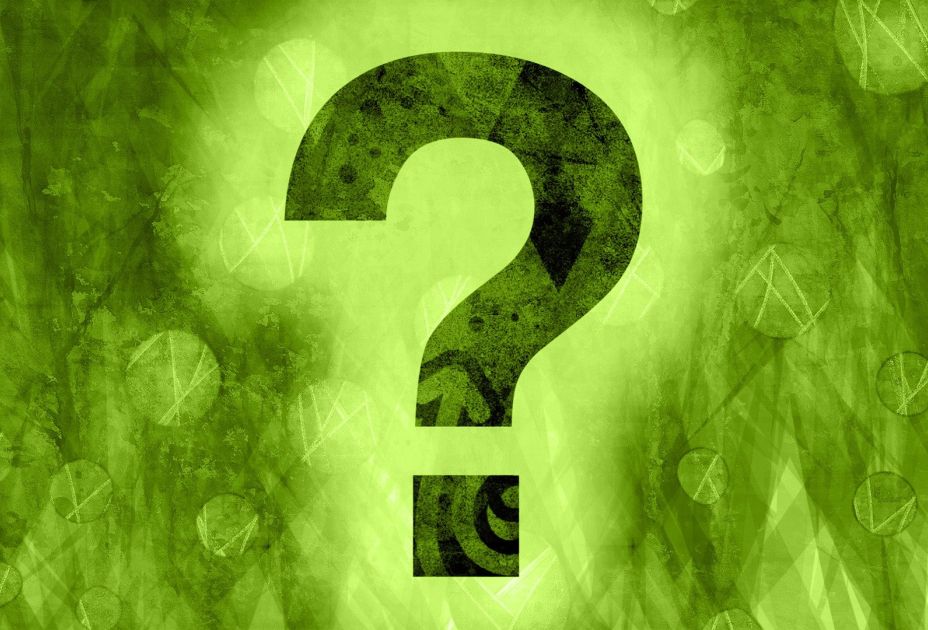 PupQuiz- Pixabay.jpg PupQuiz- Pixabay.jpg