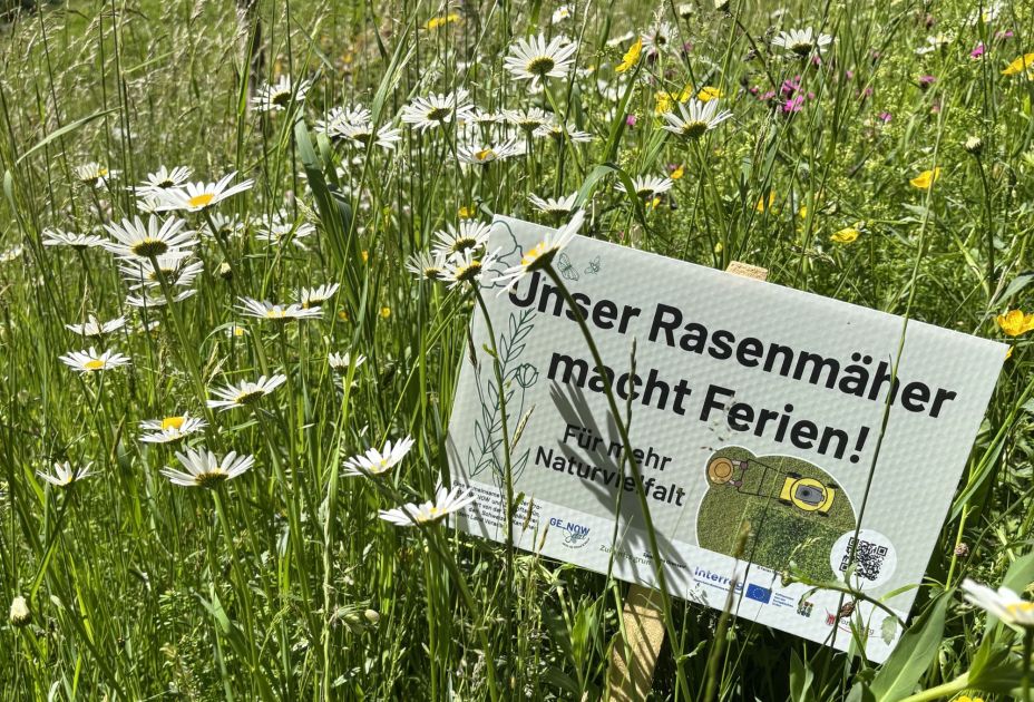 Ferien für den Rasenmäher Ferien für den Rasenmäher