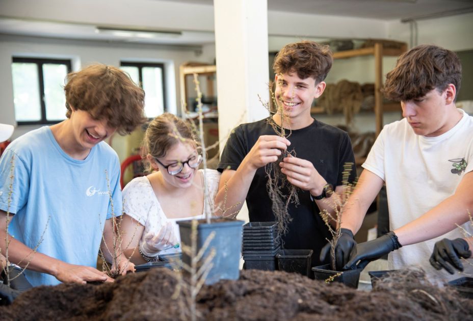 MACHWAS-Tage 2026 MACHWAS-Tage 2026