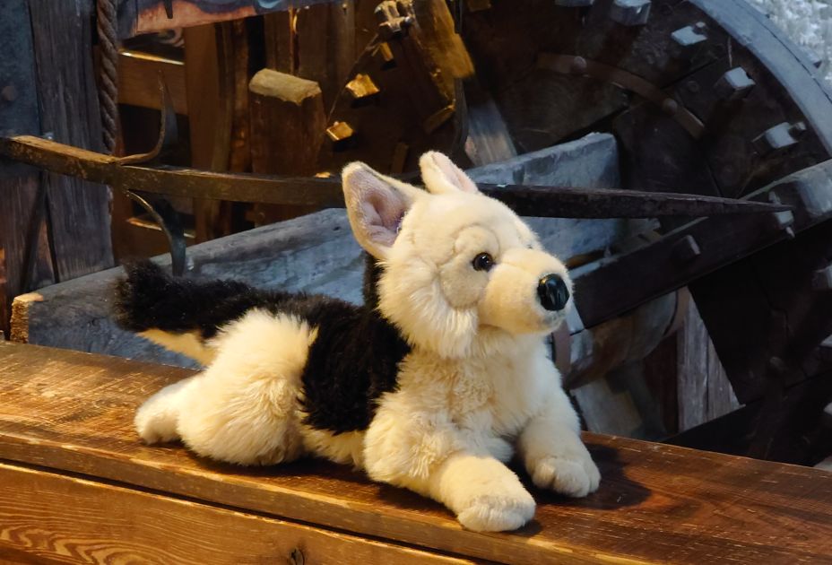 Hasso Schattenburgmuseum Familienfuehrung_Hasso_und_die_geheimnisvolle_Schattenburg_Schattenburgmuseum__c__Michaela_Doppelbauer_DSC_0248.JPG