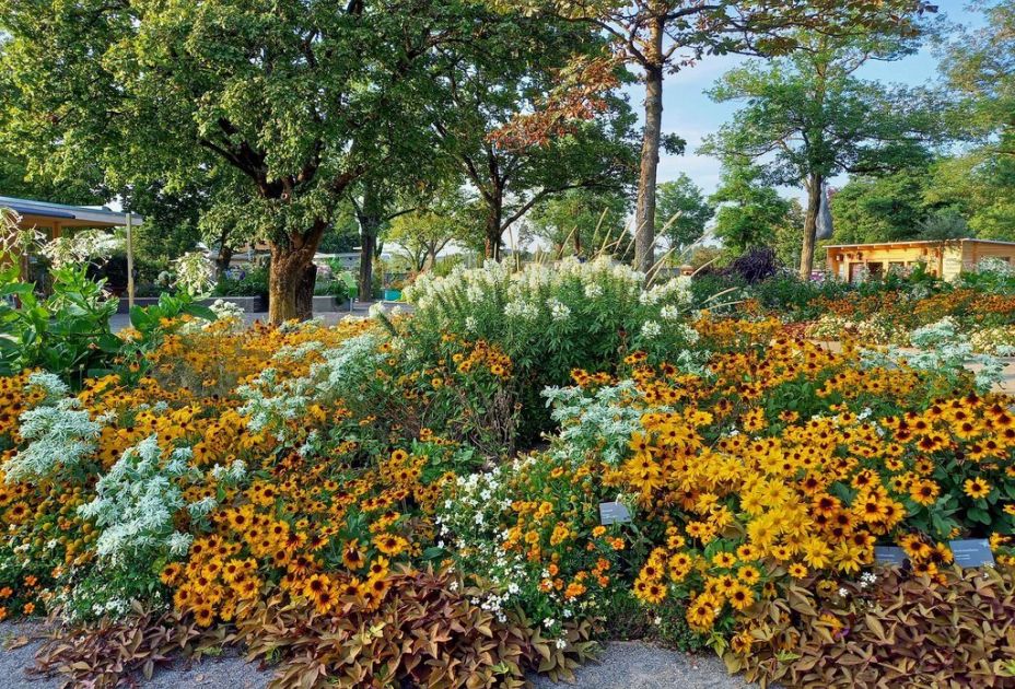 Landesgartenschau Landesgartenschau