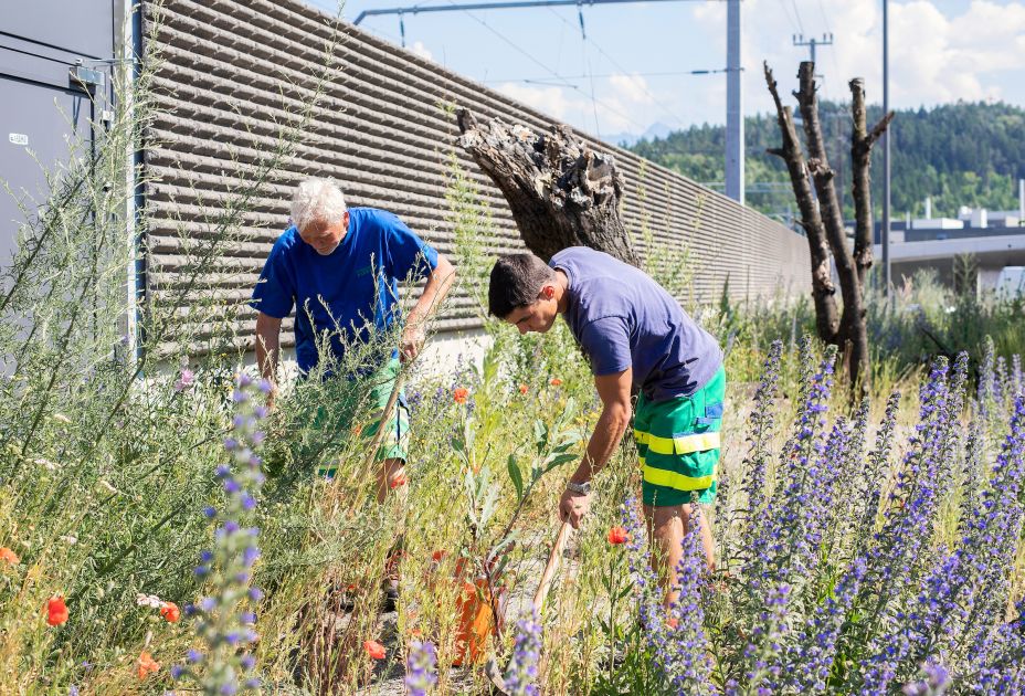 2019_06_17_e5_Gemeindefotos_Rankweil_FG_Markus_Gmeiner_CR_EIV 058.jpg 2019_06_17_e5_Gemeindefotos_Rankweil_FG_Markus_Gmeiner_CR_EIV 058.jpg