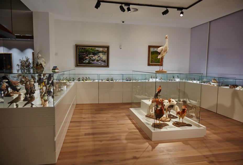 Arche Noah Museum Arche Noah Museum