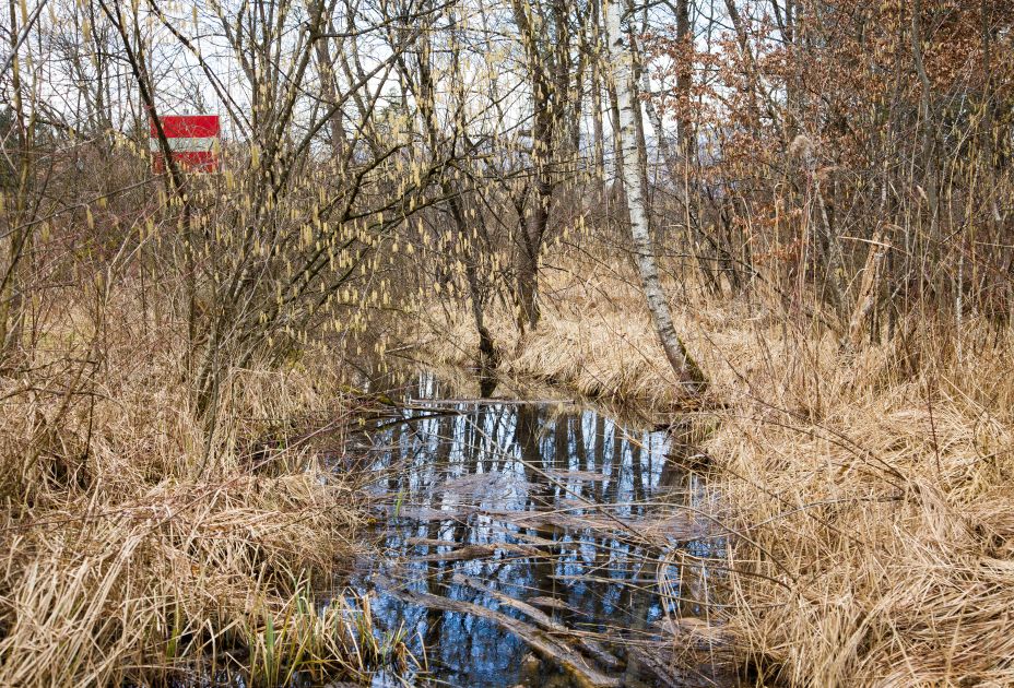 28a_Kanal_altes_Schwimmbad_CRwalser_2022 28a_Kanal_altes_Schwimmbad_CRwalser_2022