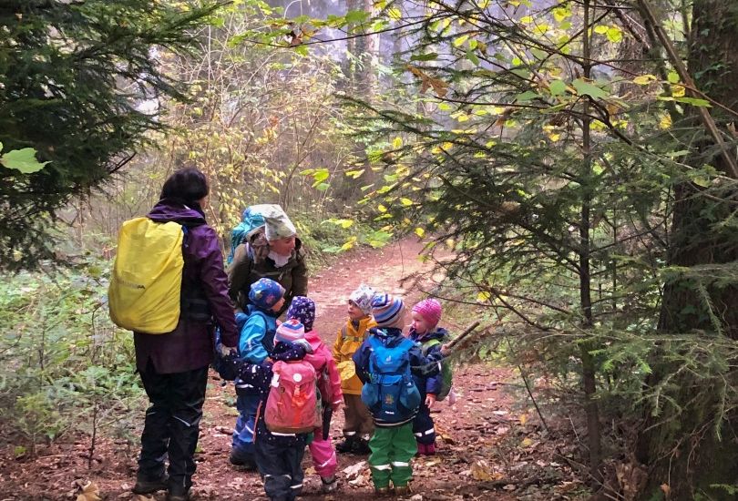 im Herbstwald im Herbstwald