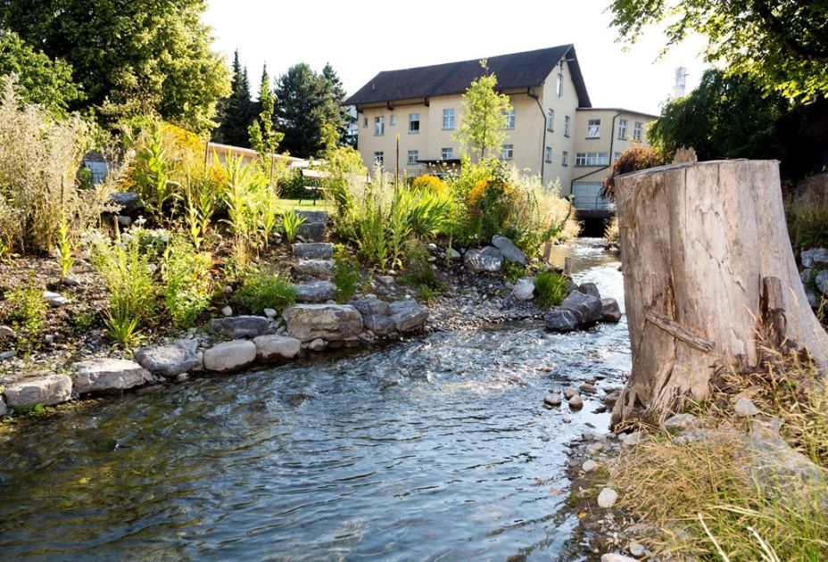 Naturnahe Gestaltung am MÃ¼hlbach
