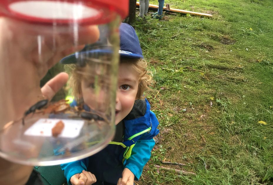 Out of the box _c inatura.jpg Out of the box _c inatura.jpg