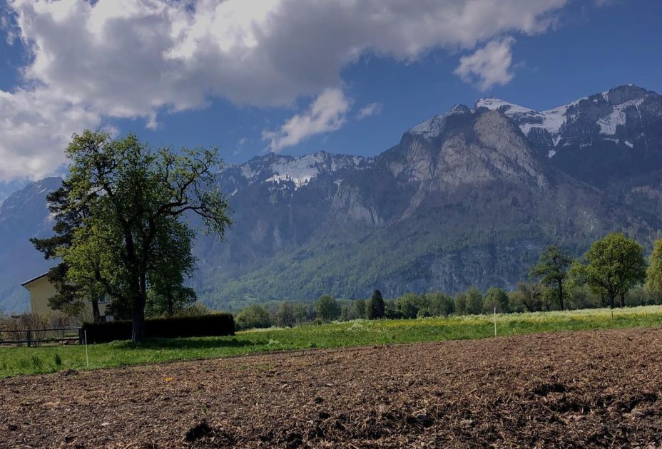 SoLaWi Nofels Josef_Stark.jpg