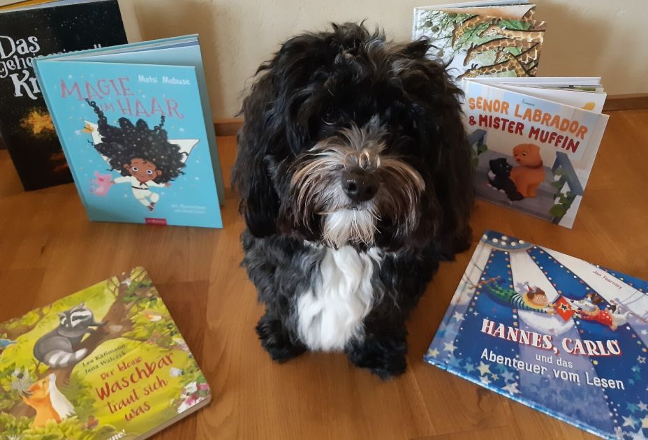 Bibliothekshund Flynn mit Büchern Bibliothekshund Flynn mit Büchern