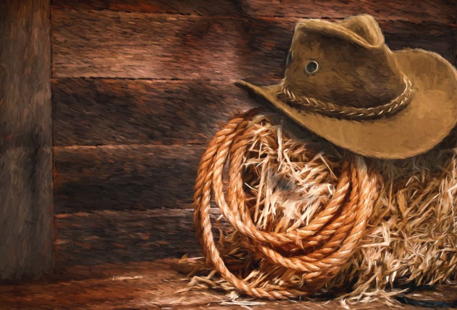 Western Western