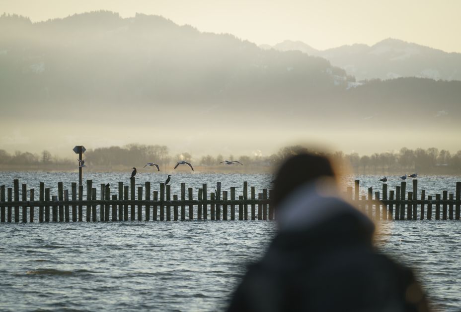 Birdwatching Rheinspitz Johanna Kronberger Birdwatching Rheinspitz Johanna Kronberger