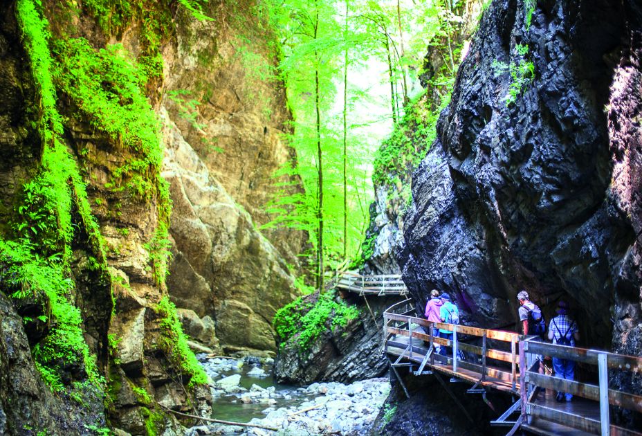 Rappenlochschlucht Rappenlochschlucht