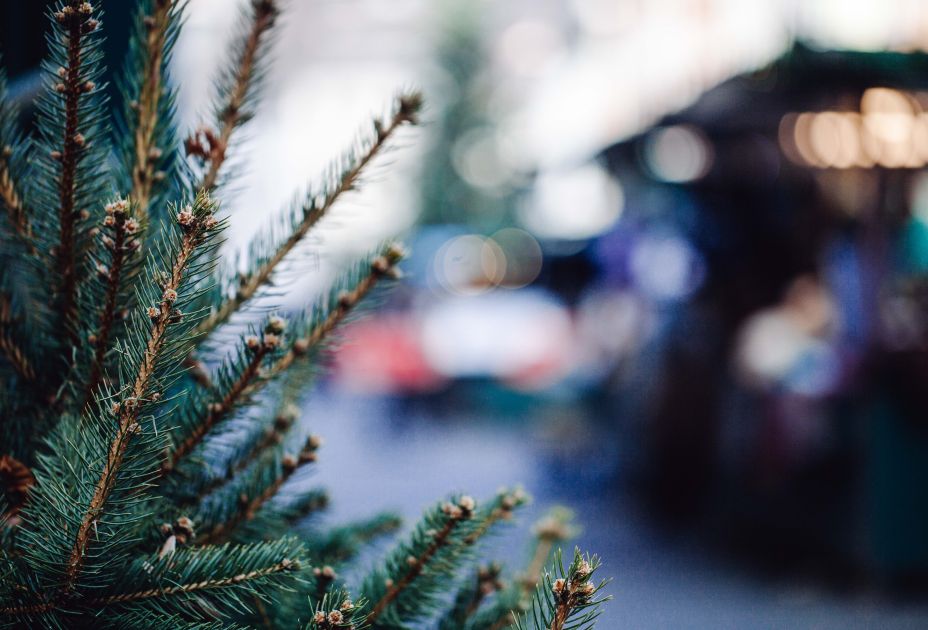 Feldkircher Weihnachtsmarkt 2016 Feldkircher Weihnachtsmarkt 2016