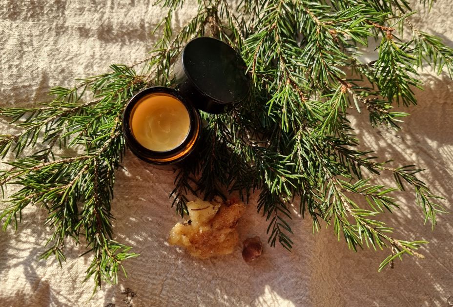 Waldapotheke © Stefanie Kaufmann.jpg Waldapotheke © Stefanie Kaufmann.jpg