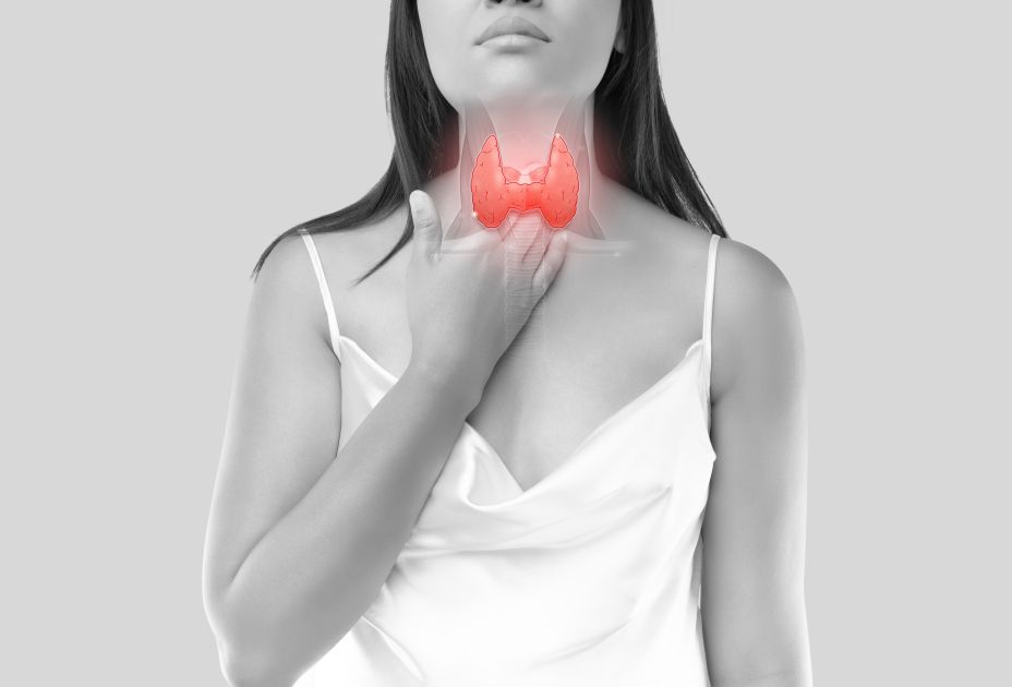 Schilddruese_Anita_Peer_AdobeStock_476711027.jpeg