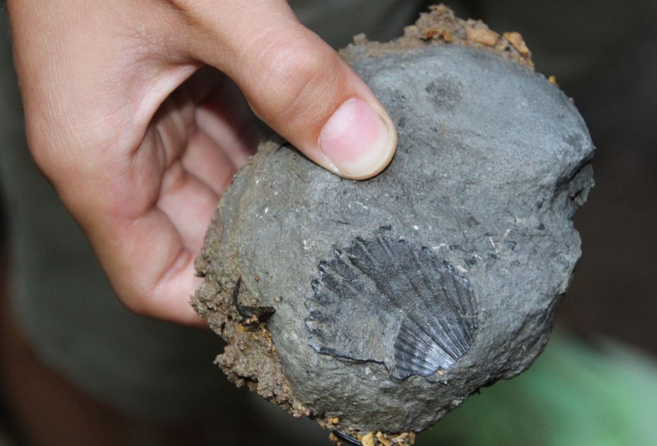 IMG_0730.JPG IMG_0730.JPG