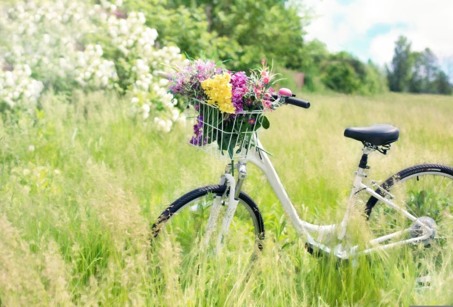 Fahrrad Fahrrad