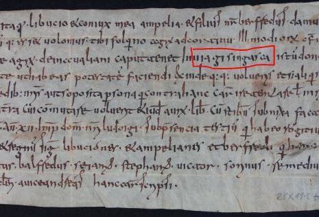 2025_Namenstag Gisingen_Via_Gisingasca.JPG 2025_Namenstag Gisingen_Via_Gisingasca.JPG