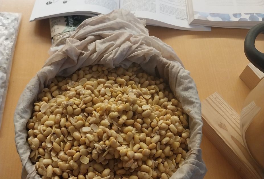 2025_Einfachmachen_Tempeh.jpg 2025_Einfachmachen_Tempeh.jpg