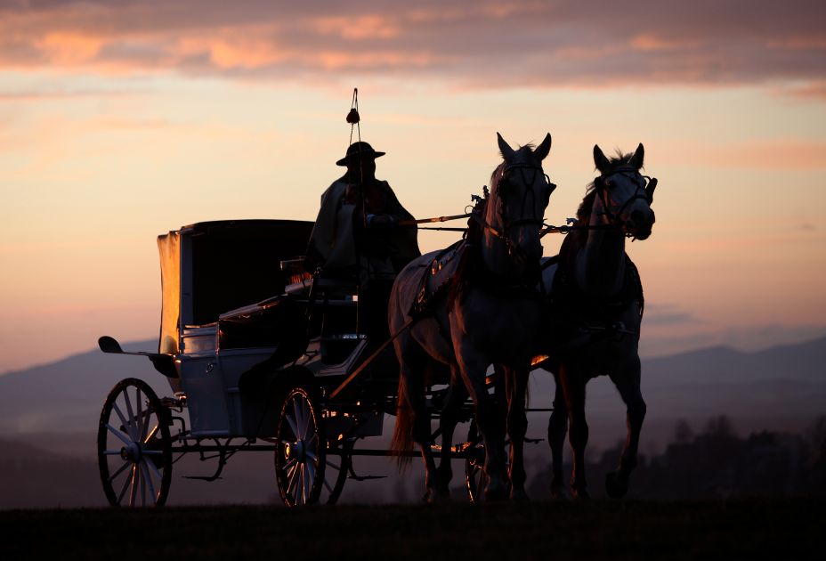 mailaenderbote1.jpeg mailaenderbote1.jpeg