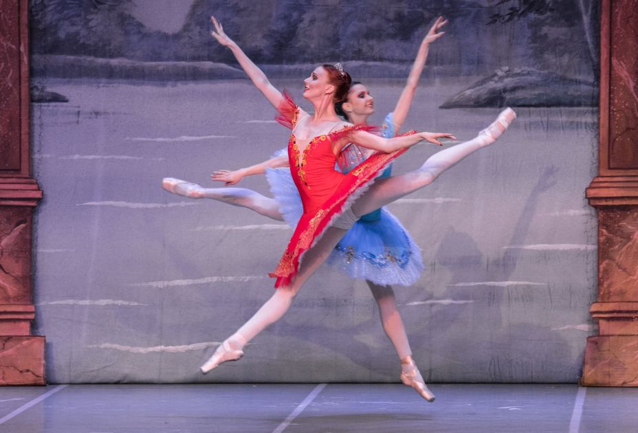 Dornroeschen.jpg Dornroeschen.jpg