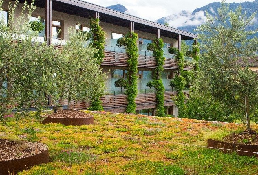 Aufbäumen â mit Dachgärten und Grünfassaden_© Conrad Amber.jpg Aufbäumen â mit Dachgärten und Grünfassaden_© Conrad Amber.jpg