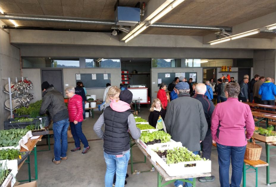 Pflanzenmarkt Pflanzenmarkt