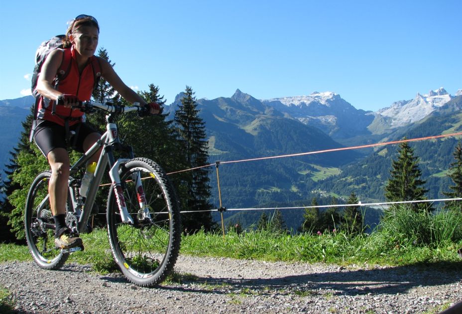 Mountainbike Mountainbike