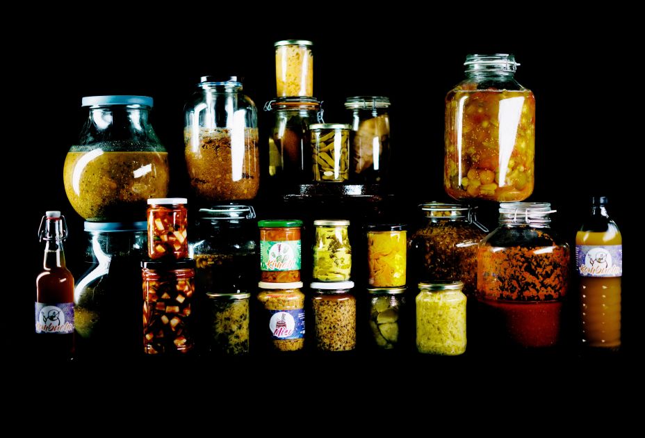 Bacteriosapiens und Klostergarten Mehrerau Â© matakstudios, Bodensee-Vorarlberg Tourismus (20).jpg