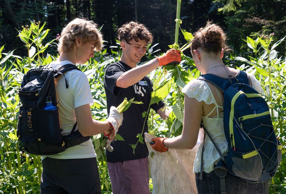 MACHWAS-Tage 2026 Infoveranstaltung MACHWAS-Tage 2026 Infoveranstaltung