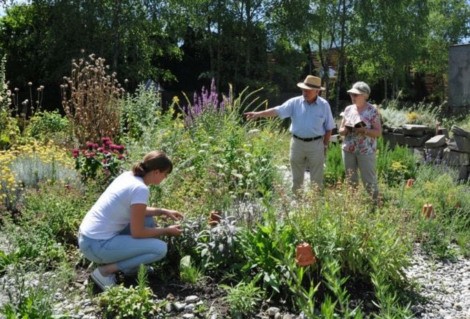 Kräutergartentreff_Bild KI bearbeitet.jpg Kräutergartentreff_Bild KI bearbeitet.jpg