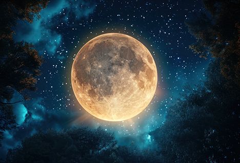 Vollmondschwimmen Vollmondschwimmen.jpg