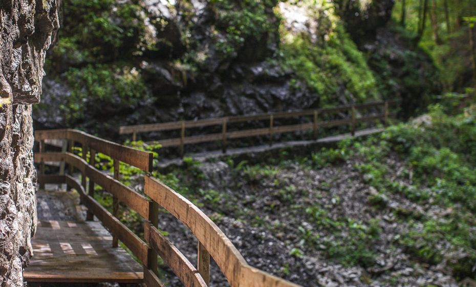 Alplochschlucht Alplochschlucht