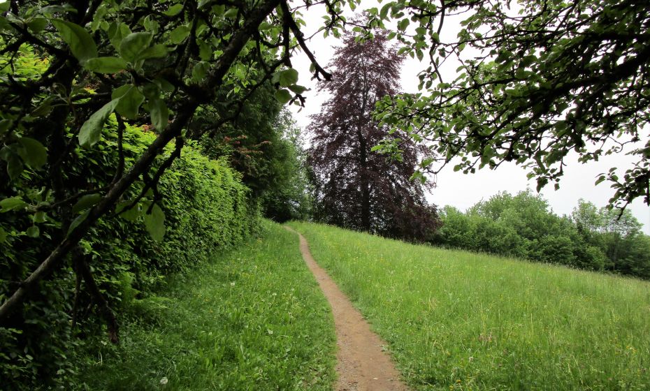 SchÃ¶ner Wegteil durch die Kulturlandschaft