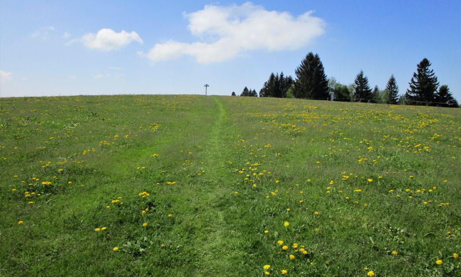 Erich Zucalli - www.guideservice.at Die letzten Meter zum Gipfelkreuz des Hochberges