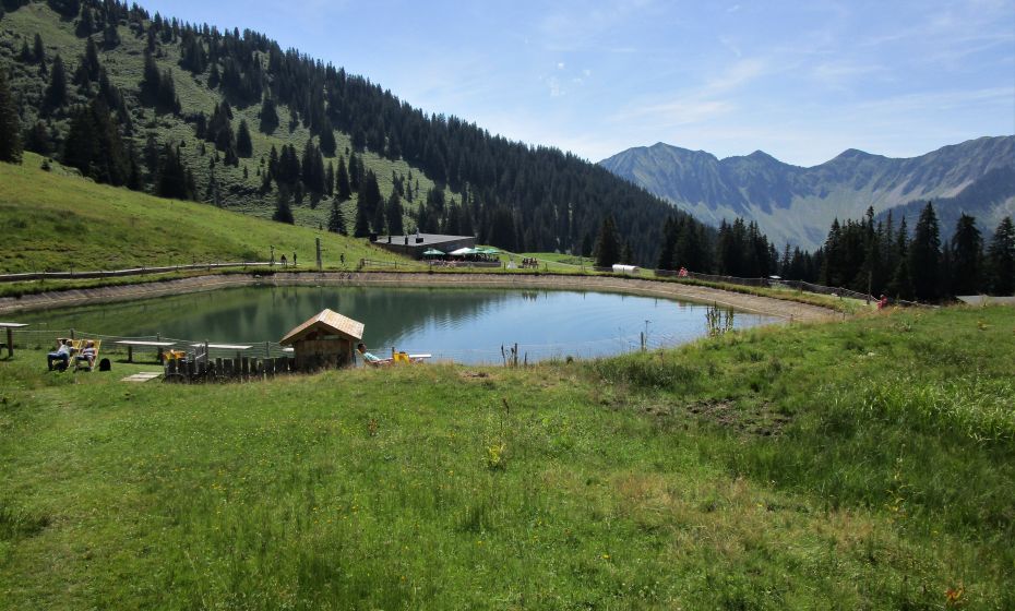 Ein unnatürlicher Speicherteich, der von den Sommerfrischlern gerne angenommen wird Ein unnatürlicher Speicherteich, der von den Sommerfrischlern gerne angenommen wird