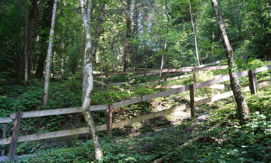 Hermann BÃ¶hler Weg