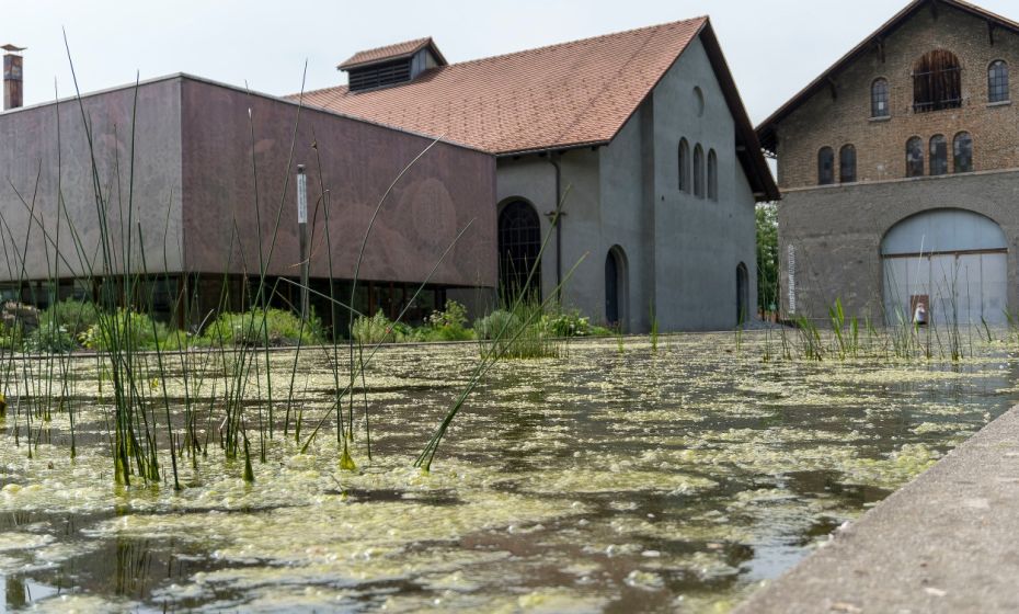 Inatura Erlebnisnaturschau und Kunstraum Dornburn Inatura Erlebnisnaturschau und Kunstraum Dornburn