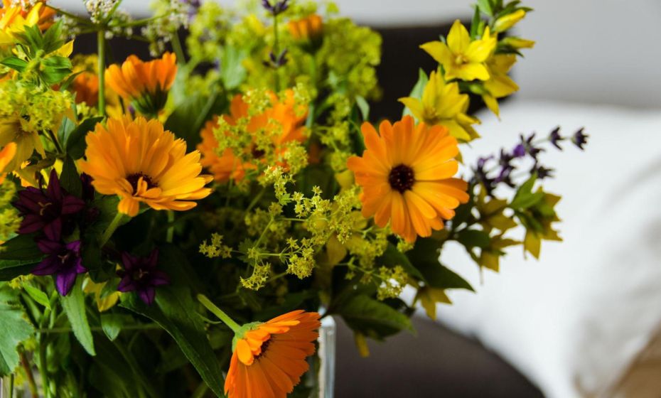 Bodensee-Ferienwohnung Am Ruggbach