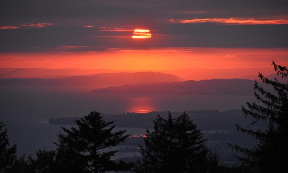 Ferienwohnung Reichart