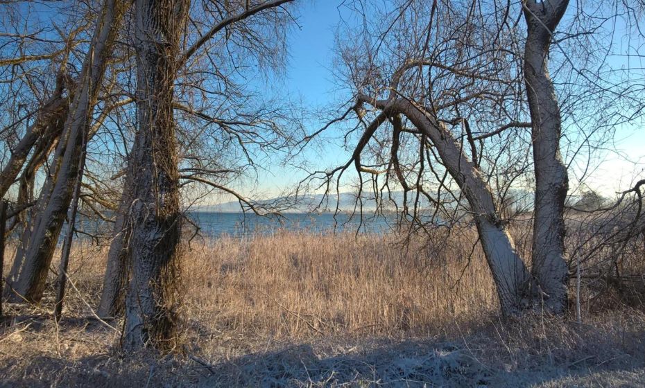 Appartement Angelika