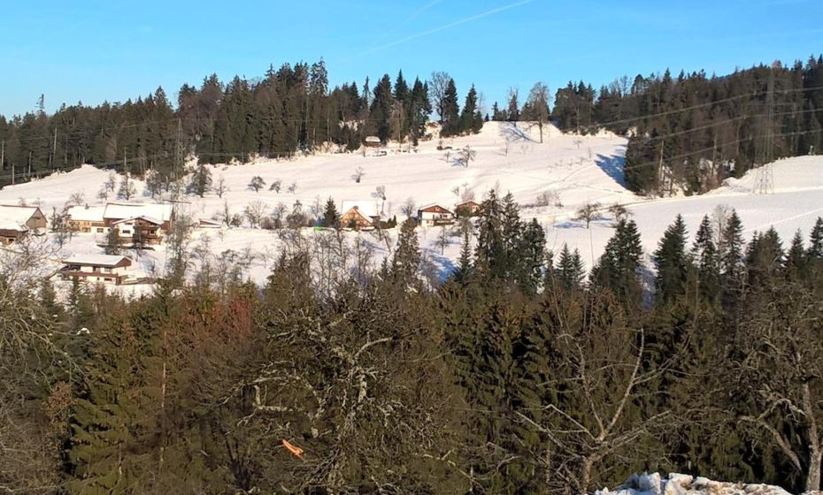 Appartement Angelika