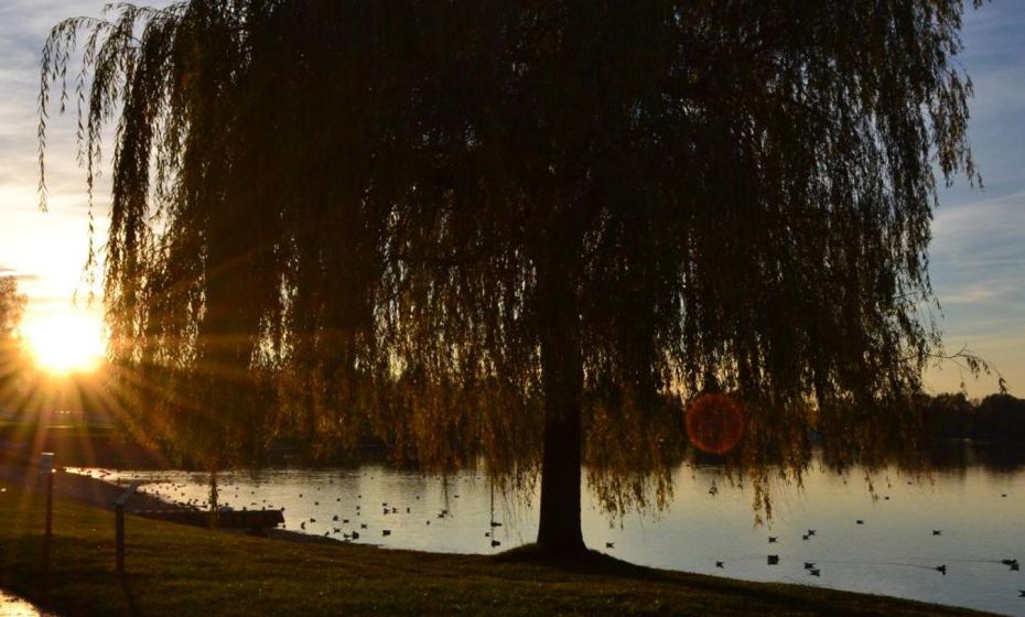 GÃ¤stehaus Gritsch